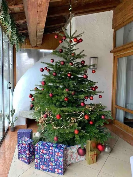 Whole Villa Munich, Alps View, Quiet And Spacious Feldkirchen-Westerham